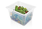 Gastronorm container polypropylene - GN PP 1/2