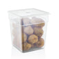Square food storage container polypropylene PP with colorful lids