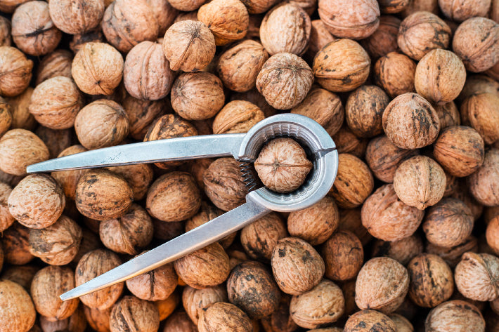 Walnut cracker (71899)